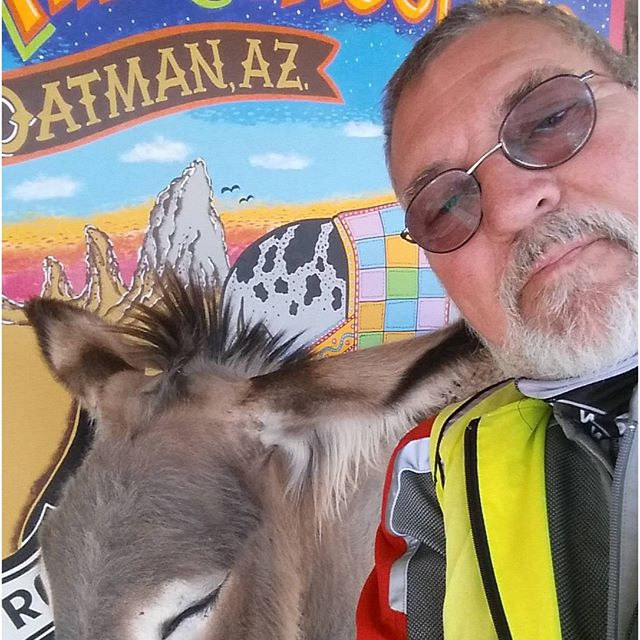 Die Hitze macht müde. 35 Grad Celsius. BMW #BMWMOTORRAD #BMWROADTRIP.DE#MOTORRAD #ROUTE66 #VORBEREITUNGEN #DHL #NORDEN #NORDERNEY #FLORIDA #USA #DAYTONA #MIAMI #NYC #WASHINGTON #MONTREAL #NIAGARAFALLS #CHICAGO #ROCKYS #LOSANGELES #SANFRANCISCO #HOUSTEN #NEWORLEANS #TAMPA #URLAUB #HOLIDAY #BITBURGERALKOHOLFREI #BITBURGER #BITTEEINBIT#Düsseldorf