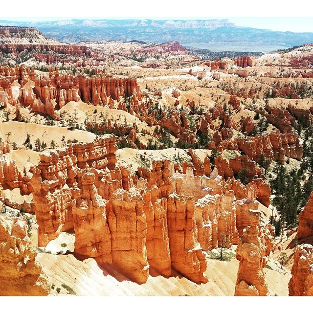 BMW #BMWMOTORRAD #BMWROADTRIP.DE #MOTORRAD #ROUTE66 #VORBEREITUNGEN #DHL #NORDEN #NORDERNEY #FLORIDA #USA #DAYTONA #MIAMI #NYC #WASHINGTON #MONTREAL #NIAGARAFALLS #CHICAGO #ROCKYS #LOSANGELES #SANFRANCISCO #HOUSTEN #NEWORLEANS #TAMPA #URLAUB #HOLIDAY #BITBURGERALKOHOLFREI #BITBURGER #BITTEEINBIT#Düsseldorf#MOA