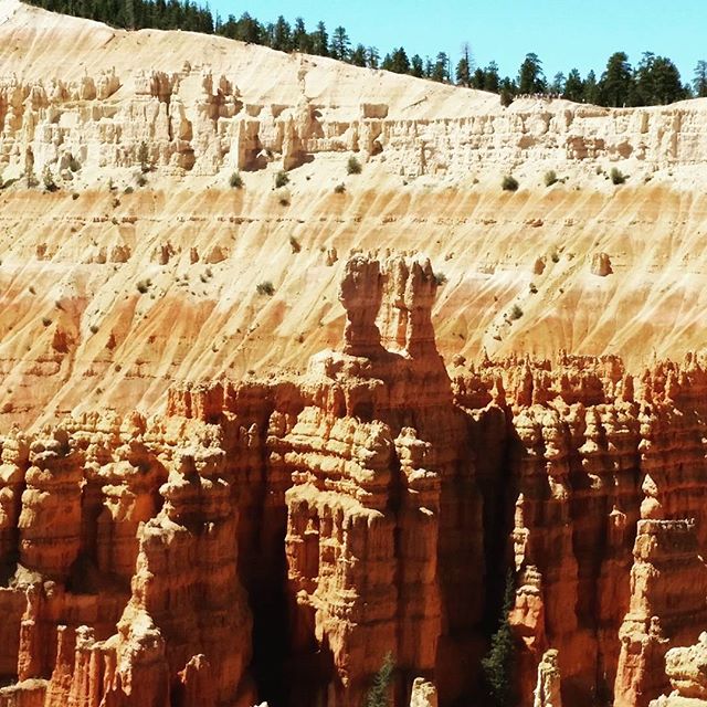 Eine tolle Aussicht im Brice Canyon. BMW #BMWMOTORRAD #BMWROADTRIP.DE #MOTORRAD #ROUTE66 #VORBEREITUNGEN #DHL #NORDEN #NORDERNEY #FLORIDA #USA #DAYTONA #MIAMI #NYC #WASHINGTON #MONTREAL #NIAGARAFALLS #CHICAGO #ROCKYS #LOSANGELES #SANFRANCISCO #HOUSTEN #NEWORLEANS #TAMPA #URLAUB #HOLIDAY #BITBURGERALKOHOLFREI #BITBURGER #BITTEEINBIT#Düsseldorf#MOA